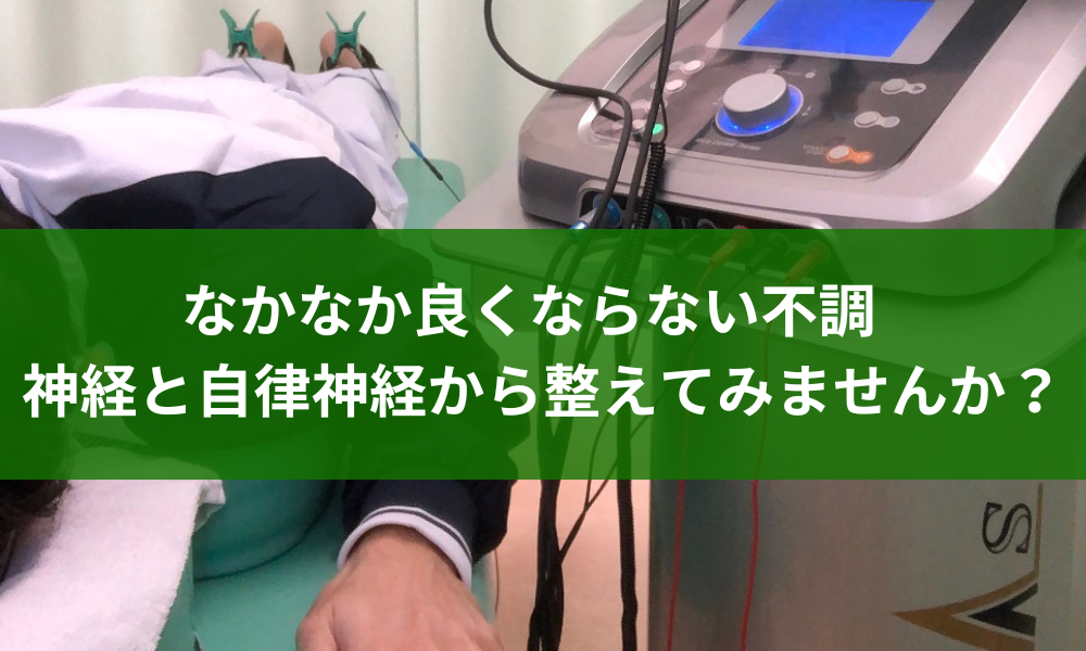 背骨の